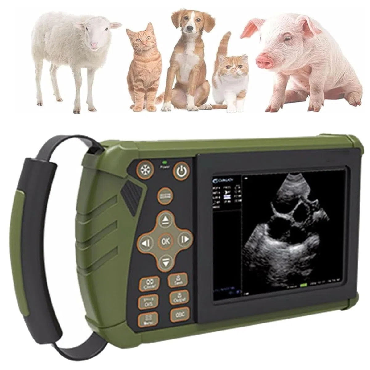 Tierärztliche Diagnose der Schwangerschaft, tragbarer Ultraschall für Tierarzt, zur Bildgebung von Schweinen, Schafen, trächtigen Hunden und Katzen, mit 3,5 MHz Sonde